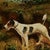 Vintage Painting of Dogs or Terriers For Sale In West Palm - Image 6 of 13