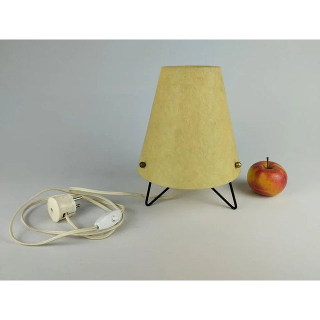 Mid-Century Table Lamp with Fiberglass Shade, 1950 For Sale - Image 9 of 10