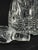 1920s Cut Crystal Decanter with Silver-Mounted Collar, 1920s For Sale - Image 5 of 10