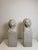 Florentine Lions in White Carrara Marble, Late 19th Century, Set of 2 For Sale - Image 11 of 13