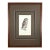 1828 Framed Great Grey Owl by Werner | Hand-Colored Bird Print For Sale