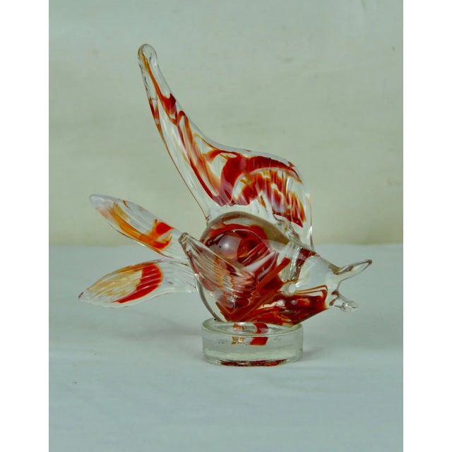 Murano Glass Fish from Murano, 1970s, in Good conditions. Designed 1970 to 1979 This piece is attributed to the mentioned...