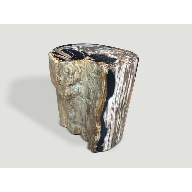 Andrianna Shamaris Impressive Ancient Petrified Wood Side Table For Sale - Image 4 of 4