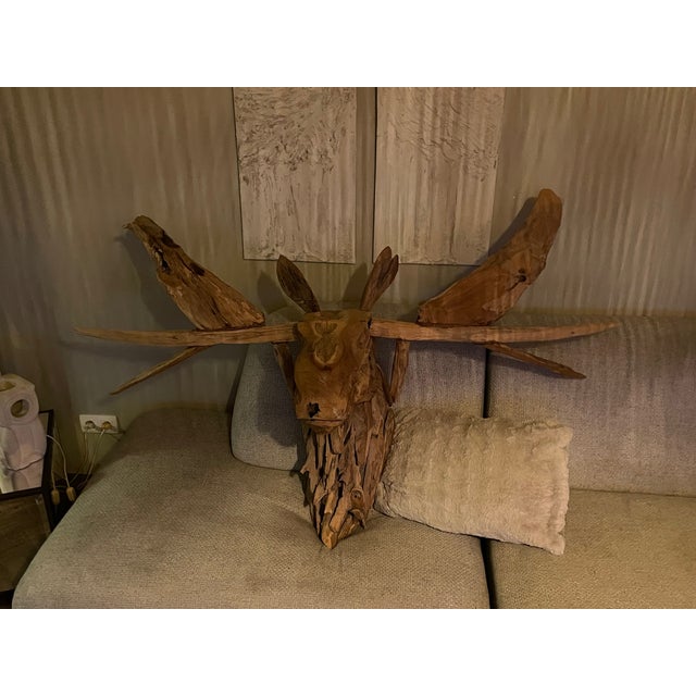 Tan Teak d'Elan Trophy, , in Very Good conditions. Designed from 2000