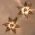 Brass Flowers Wall Light from Willy Daro, 1970s For Sale - Image 12 of 13