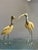 Vintage Ibis Bird Sculptures by Elli Malevolti, 1950, Set of 2 For Sale - Image 14 of 16