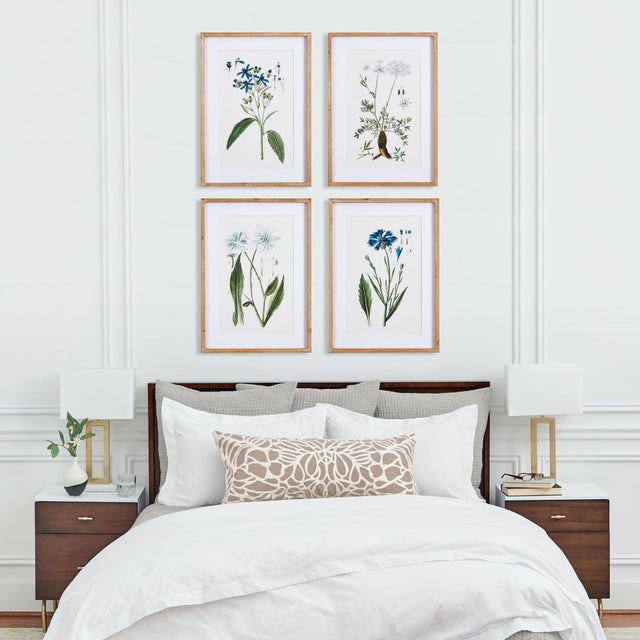 Kenneth Ludwig Chicago Mountain Botanical Prints, Set Of 4 For Sale - Image 4 of 4