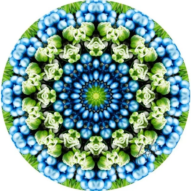 Mandala ‘bouquet tables’ bring a burst of colour & spiritual optimism. Designed by luxury lifestyle brand JG Home, these...