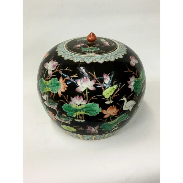Vintage black melon jar depicting lotus flowers,cranes, and ducks floating along the water. Longevity symbols featured on...