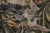 Textile Rug & Kilim’s Armorial Tudor Style Rug in Black, With Beige, Blue and Gold Tones For Sale - Image 7 of 8