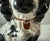 Ceramic Antique Staffordshire Style Ceramic Spaniel Figurine For Sale - Image 7 of 12