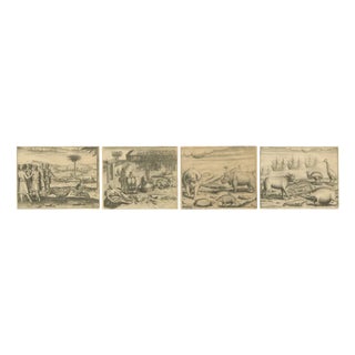 Sacred Trees and Exotic Animals, 1598, Paper, Set of 4 For Sale
