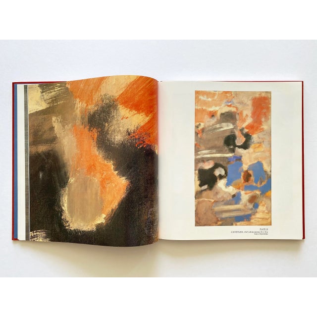 the Art of Mark Rothko : Into an Unknown World 