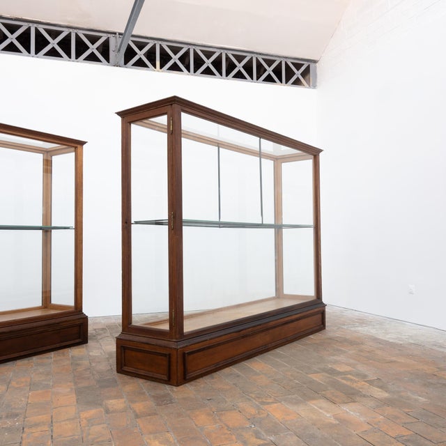 Tan Antique Oak Museum Display Cases, 1900 For Sale - Image 8 of 13