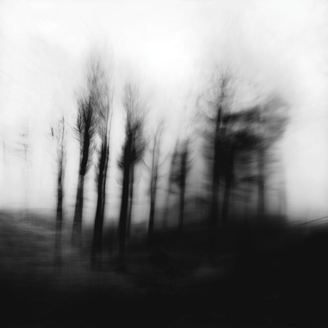 Abstract 20" X 20" 'Blurred Landscape' #4 Black and White Photography For Sale - Image 3 of 6