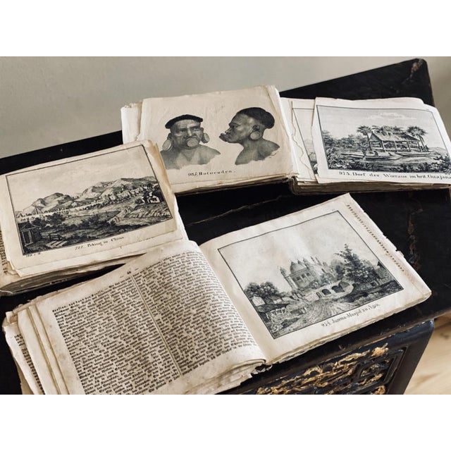 Biedermeier Artist, The Gentle Cat, 1831, Lithograph, Framed For Sale - Image 18 of 18