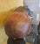 1970s Carved Wooden Dog-Signed For Sale - Image 5 of 8