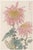 Japanese Crimson & Blush Diptych – Vintage Japanese Botanical Prints (Set of 2), 40" X 60" For Sale - Image 3 of 8