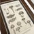 French 1804-1806 French Buffon Monochrome Intaglio Engravings | Mushroom & Botanical Trio - Set of 3 For Sale - Image 3 of 7