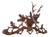 Antique Swiss Black Forest Stag Coat Rack, 1880 For Sale