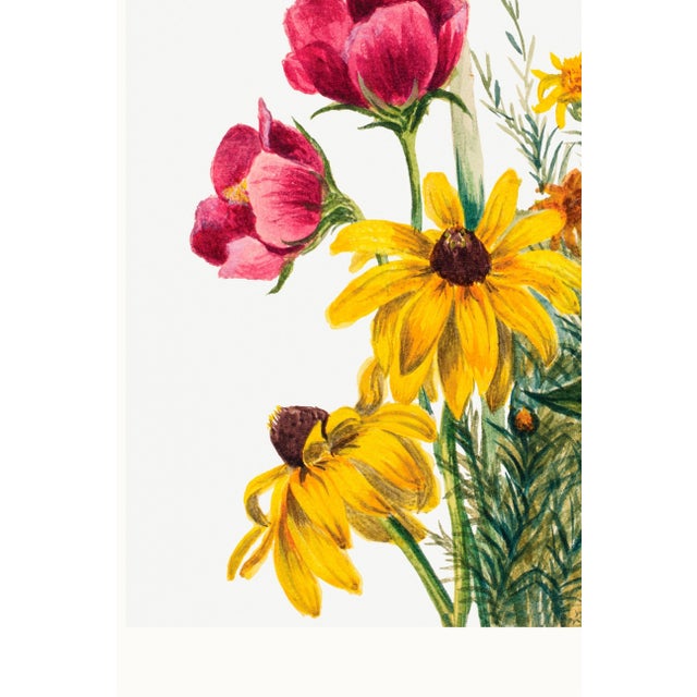 Yellow Vintage Wildflowers Study, Botanical Art Print Reproduction, 24" X 36" For Sale - Image 8 of 9