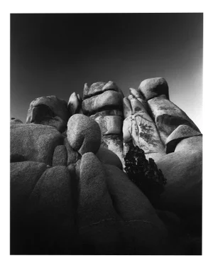 Jumbo Rocks California - Analogue Black and White Desert Rocks 2023