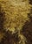 Mid-Century Modern Olive Green Rug in Wool, Germany, 1970s For Sale - Image 6 of 9