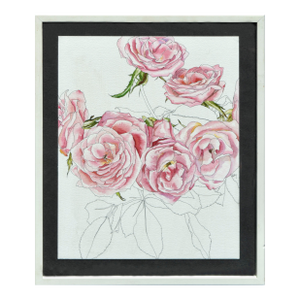 Pink Roses - Botanical Study by Deborah Eddy