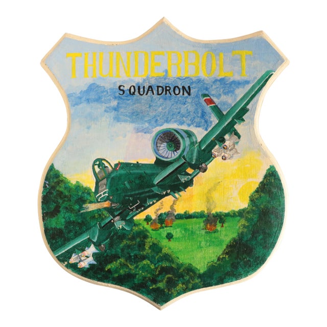 Thunderbolt Squadron Military Aircraft Plaque For Sale