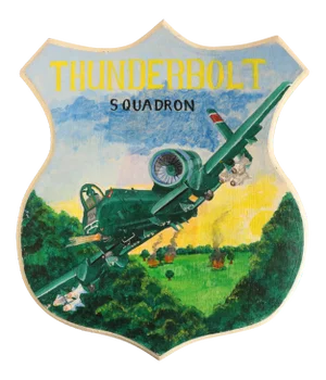 Thunderbolt Squadron Military Aircraft Plaque