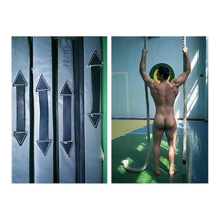 Schwarzenegger is My Idol, 12 Limited Edition, Hahnemühle Rag Baryta Print, 2012 For Sale