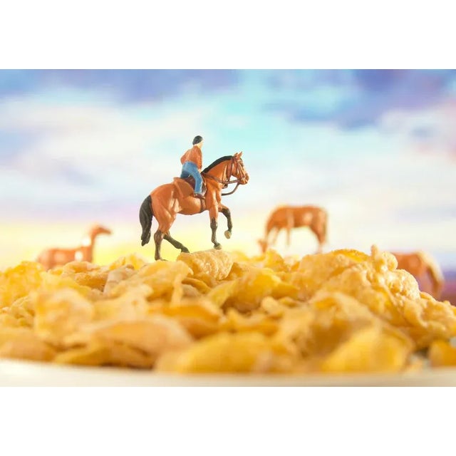 Cereal - Horses 3 Matthew Carden 23" x 29" Unframed Cereal - Horses 3 Matthew Carden Print, 23" x 29"