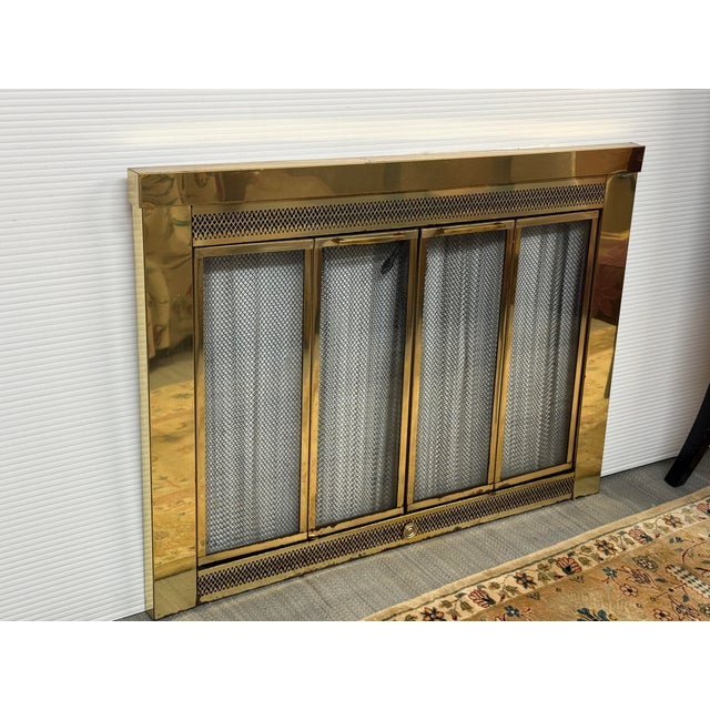 Jenson Distribution Traditional Fireplace Doors For Sale In San Francisco - Image 6 of 12