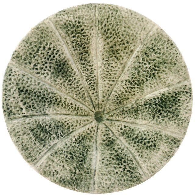 Bring a dash of whimsical, organic elegance to your tablescape with this lovely pair of vintage majolica plates by...