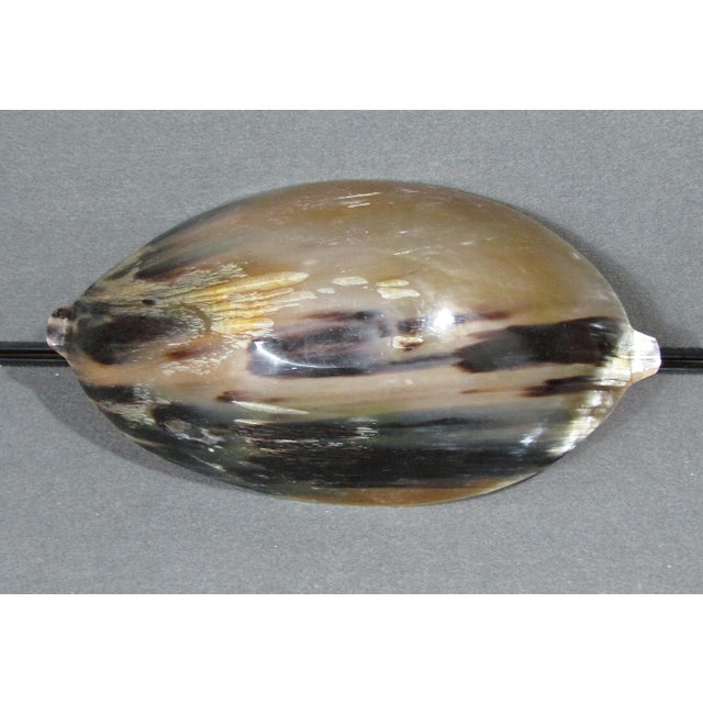 Vintage Handcrafted Natural Buffalo Horn Handled Bowl For Sale - Image 13 of 14