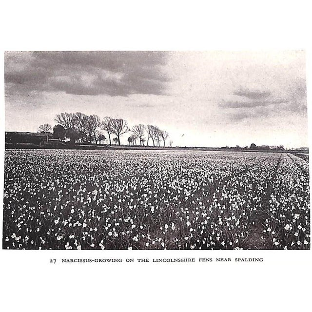 "The Legacy of England: An Illustrated Survey of the Works of Man in the English Country" 1941 For Sale - Image 9 of 12