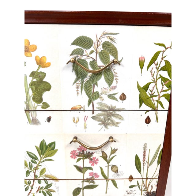 Josef Frank 1950's Swedish Dresser With Nordens Flora Illustrations For Sale - Image 4 of 11