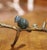 Mid 20th Century Pair of Mid-Century Cast Iron Bird Branch Two-Light Candelabras For Sale - Image 5 of 10