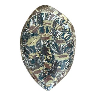 Vintage Italian Scagliola Artisan Made Pigmented Plaster Turtle Shell For Sale