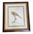Set of 4 Vintage Continental Style Framed Natural History Prints For Sale - Image 4 of 12