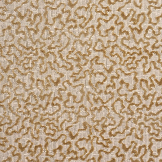 Modern SAMPLE - Schumacher Janis Velvet Fabric In Champagne For Sale - Image 3 of 4