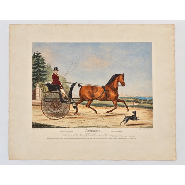 English Artaxerxes – Large Original 1838 Hand-Colored British Equestrian Aquatint by f.c. Turner For Sale - Image 3 of 3
