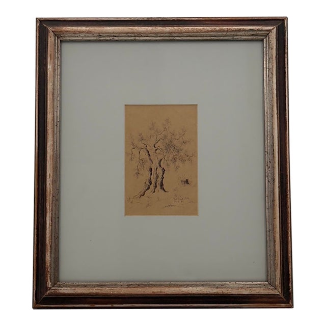 Vintage Original Italian Pen and Ink Drawing Ancient Gnarled Tree Signed 1993 For Sale