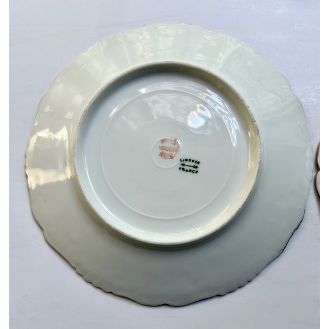 1900s Limoges Hand Painted Floral Porcelain Plates - a Pair For Sale - Image 14 of 18