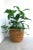 Mediterranean Wicker Basket Plant Cachepot For Sale - Image 3 of 12