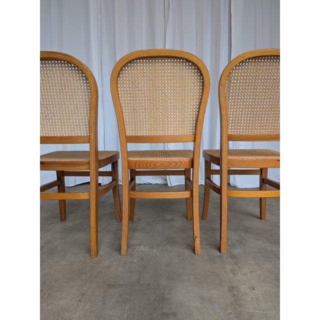Mid-Century Modern Cane Seat Dining Chair, Yugoslavia, 1970s For Sale - Image 14 of 18