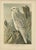 Birds of Prey, Eagles & Falcons, 1890s, Chromolithographs, Set of 10 For Sale - Image 5 of 13
