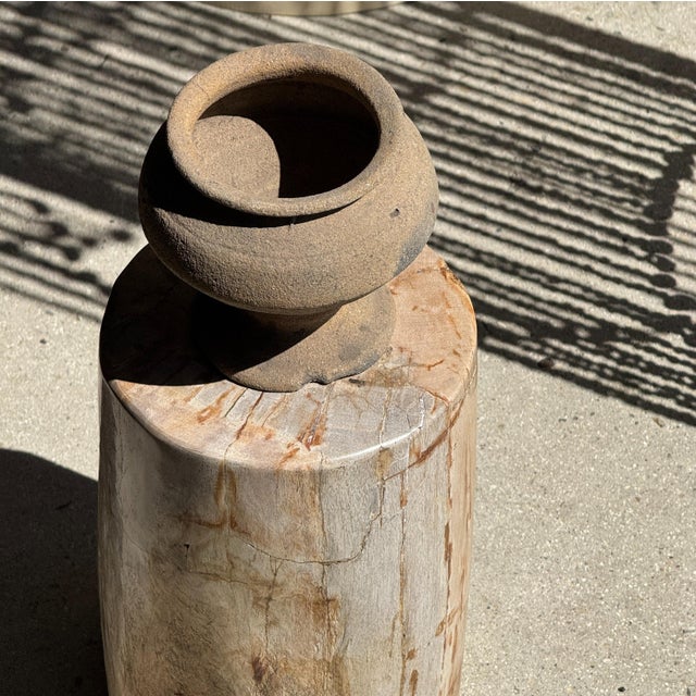 Small Side Table in Petrified Wood, 1980s For Sale - Image 17 of 18