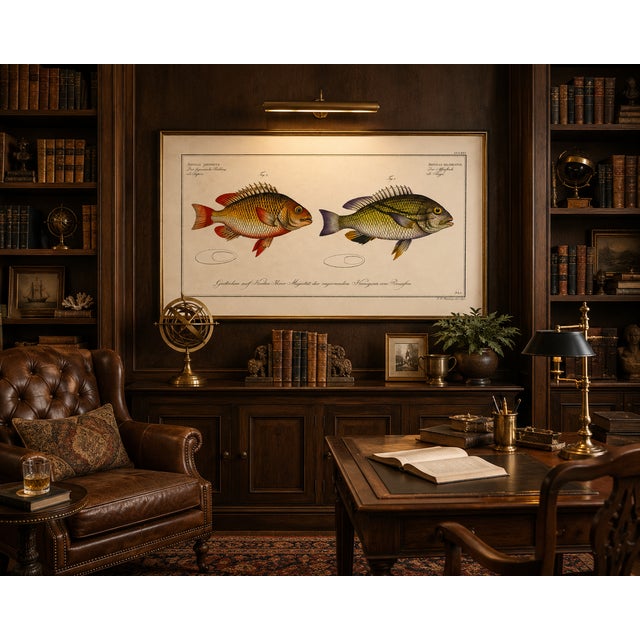 Paint Antique Fish Study 1, Vintage Art Print Reproduction, 24" X 16" For Sale - Image 7 of 8