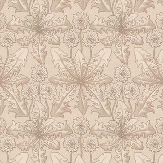 Taraxa Wallpaper - Phlox For Sale